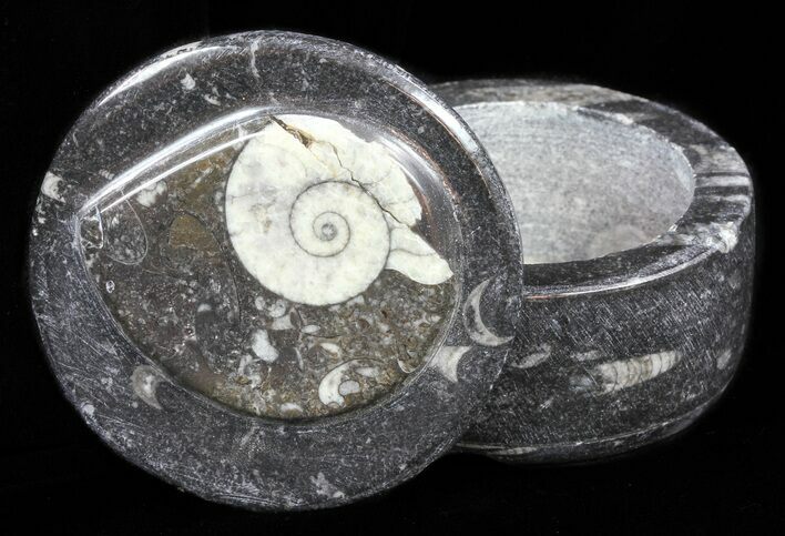 Small Fossil Goniatite Jar (Black) - Stoneware #60094
